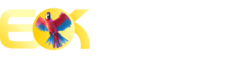 Bst365 - Bet5577